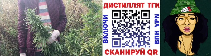 закладки  Никольск  ТГК жижа 